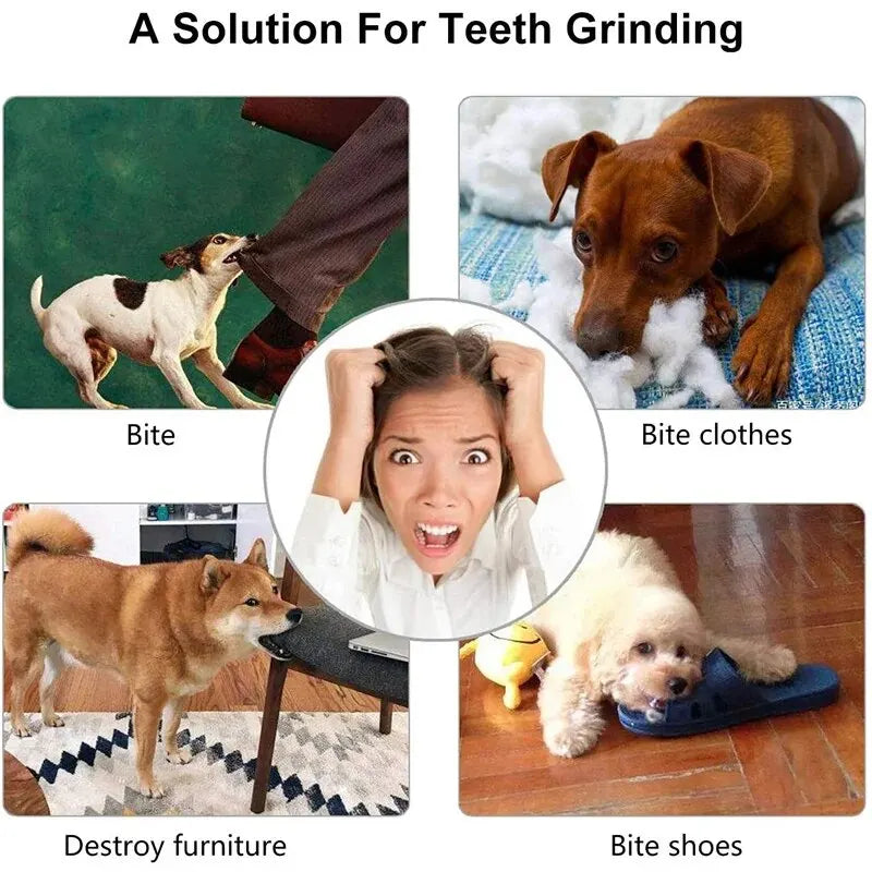 Dog Treat Ball