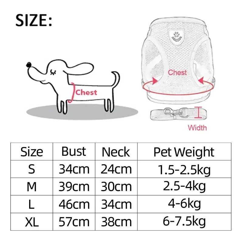 Cat Harness & Leash Set