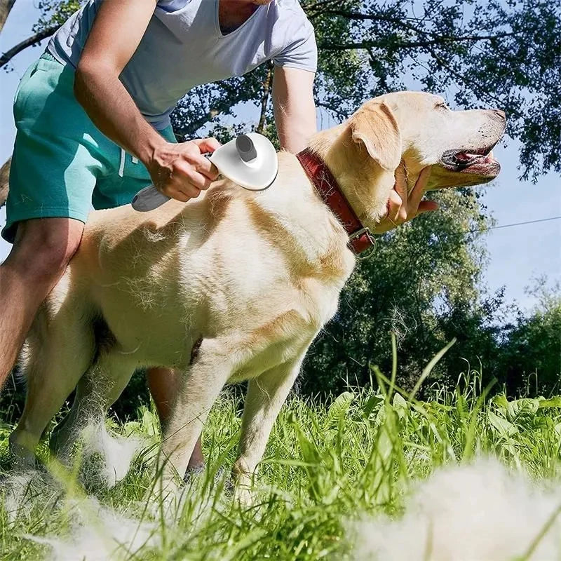 Self Cleaning Pet Brush for Dogs & Cats