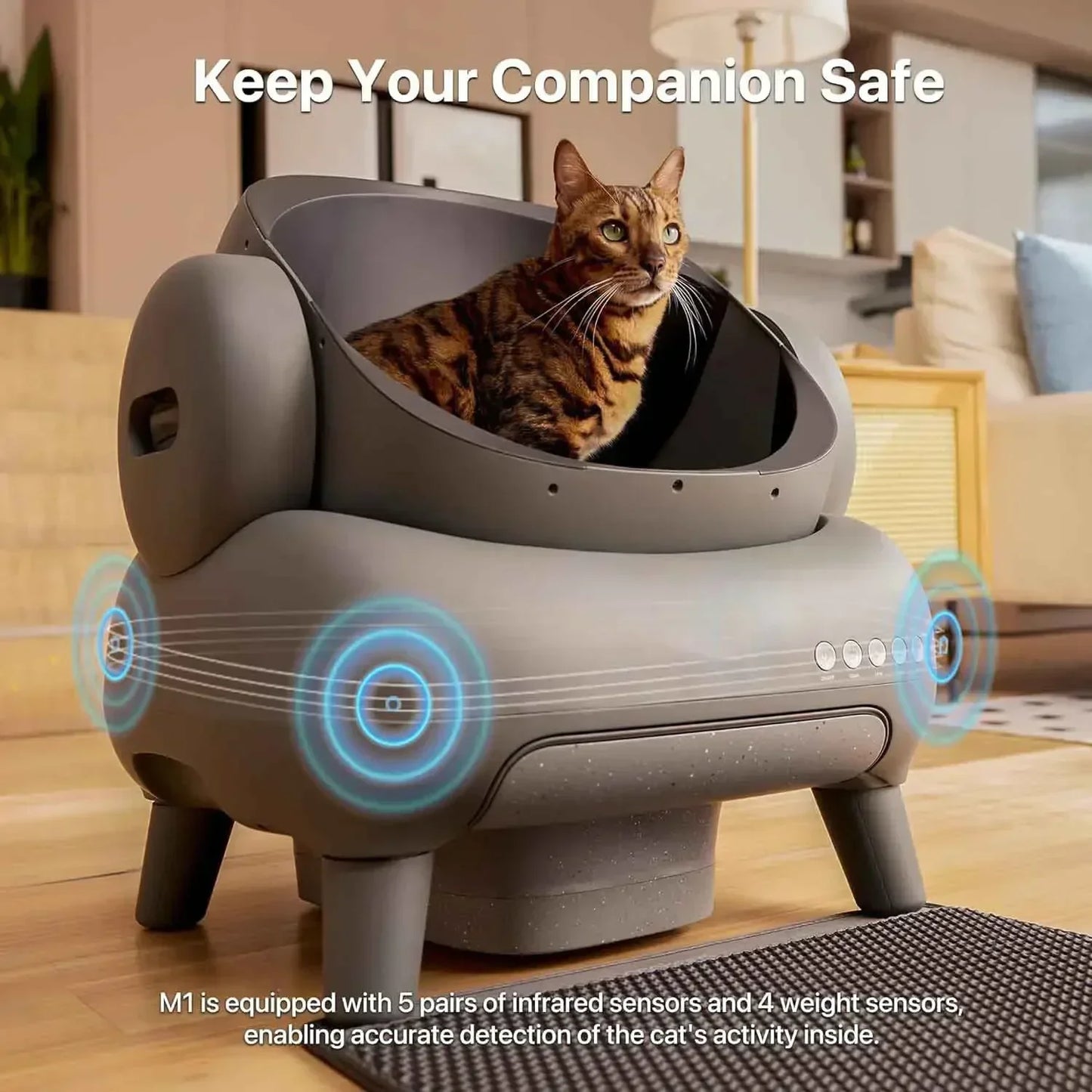 Automatic Cat Litter Box