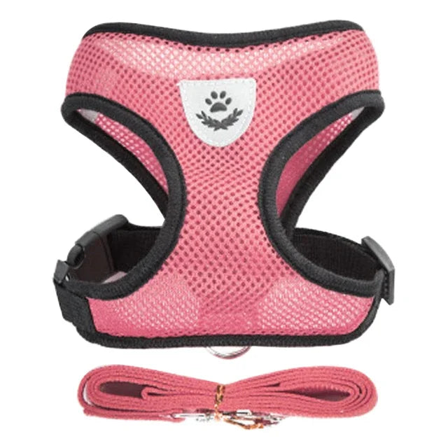 Cat Harness & Leash Set