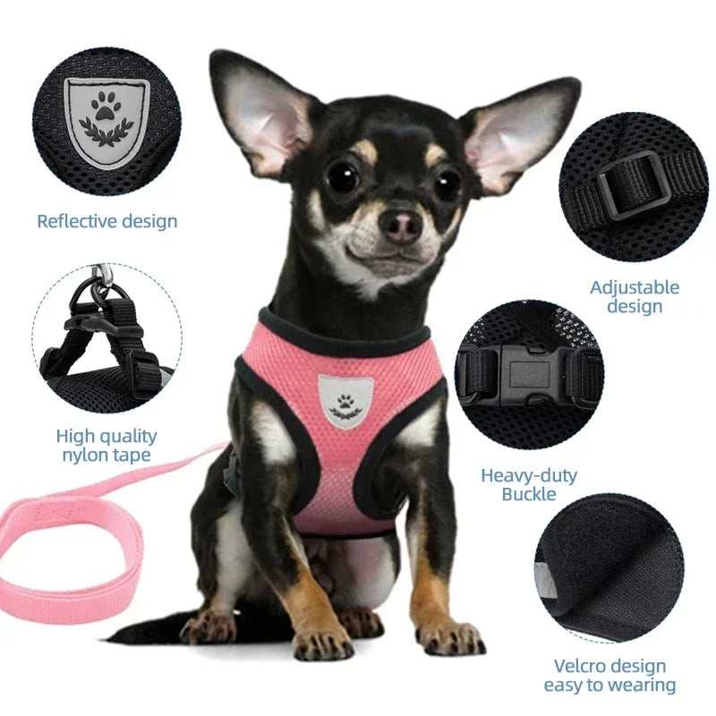 Cat Harness & Leash Set