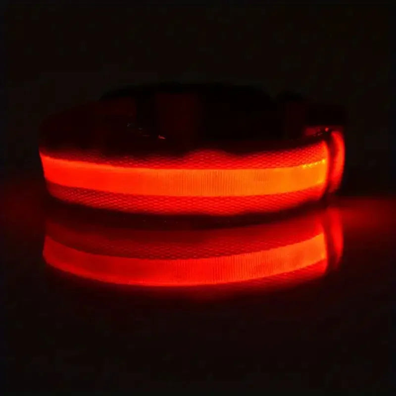 LED Glowing Dog Leash