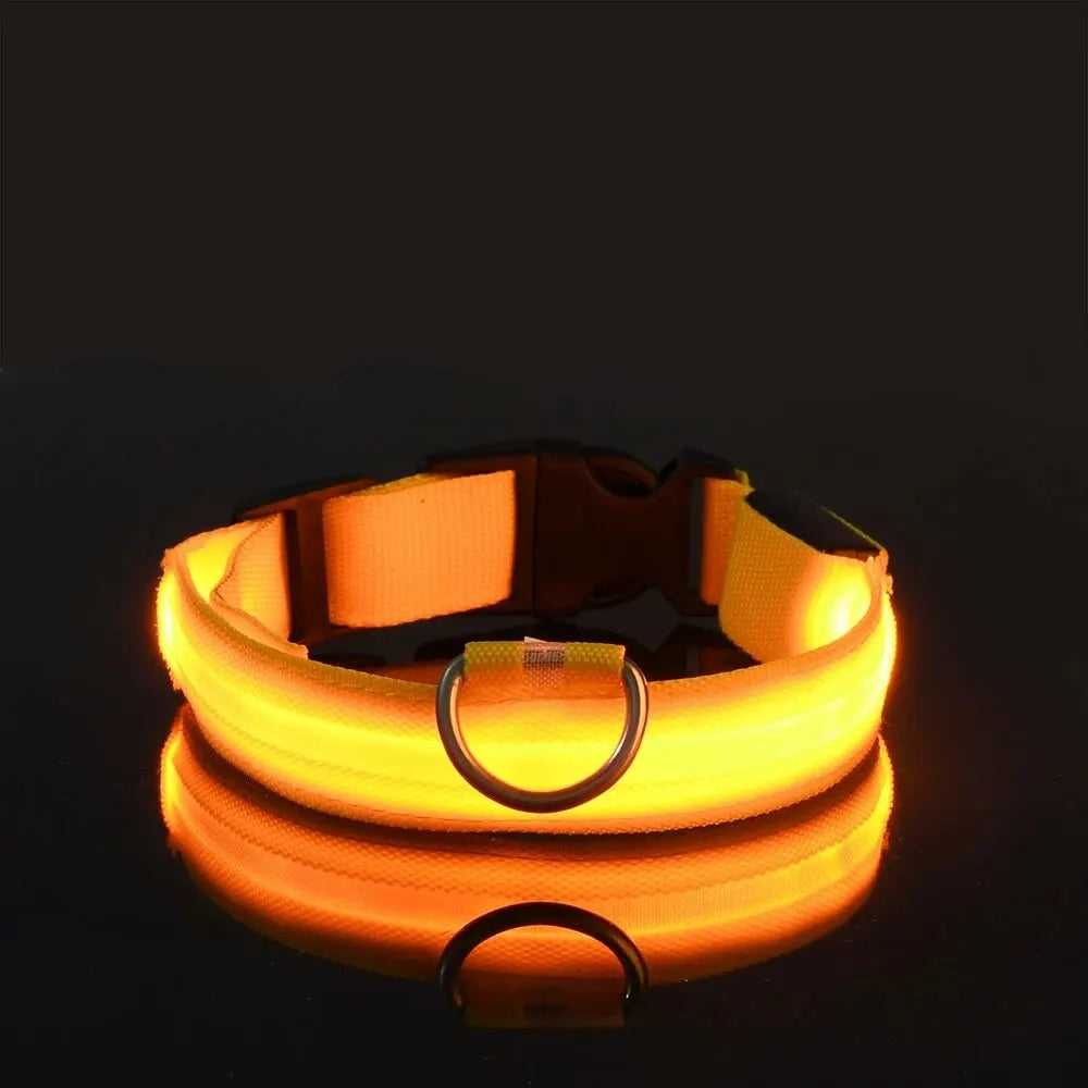 LED Glowing Dog Leash