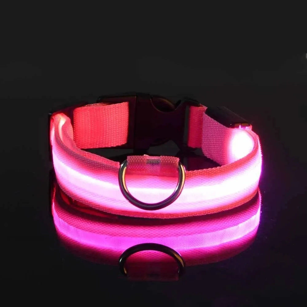 LED Glowing Dog Leash