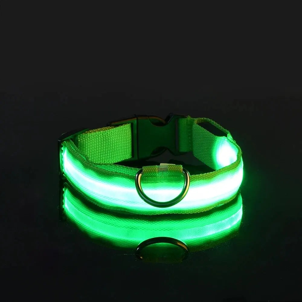 LED Glowing Dog Leash