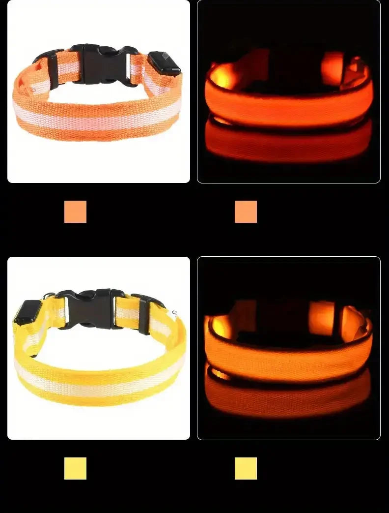 LED Glowing Dog Leash