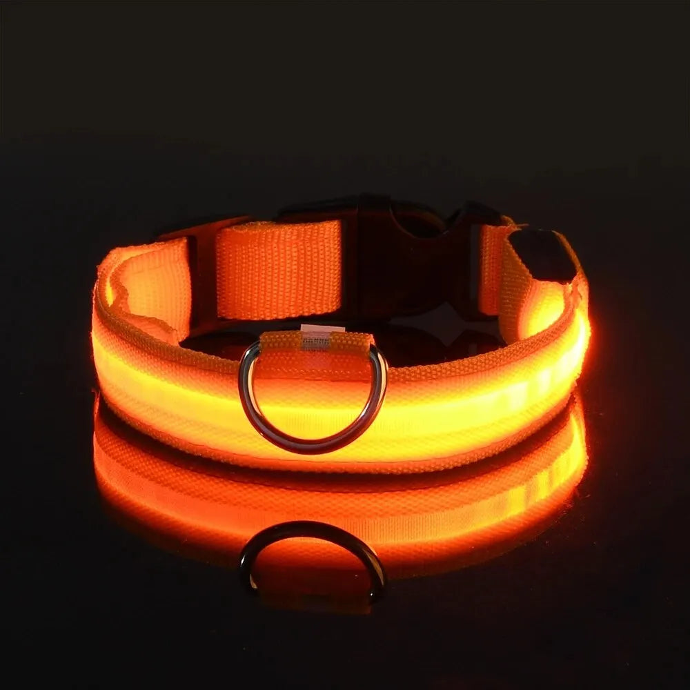 LED Glowing Dog Leash