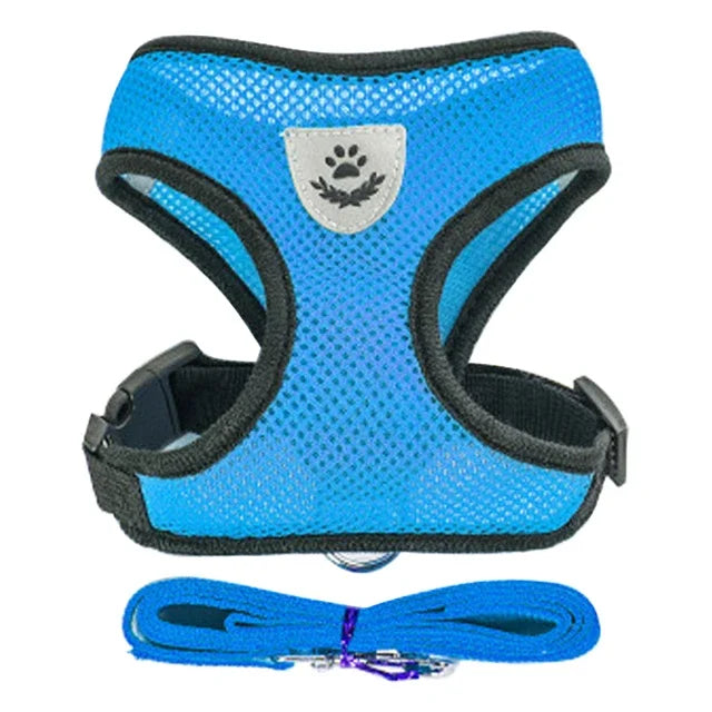 Cat Harness & Leash Set