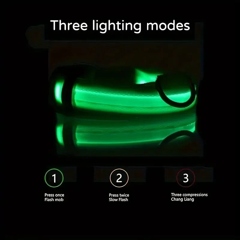 LED Glowing Dog Leash