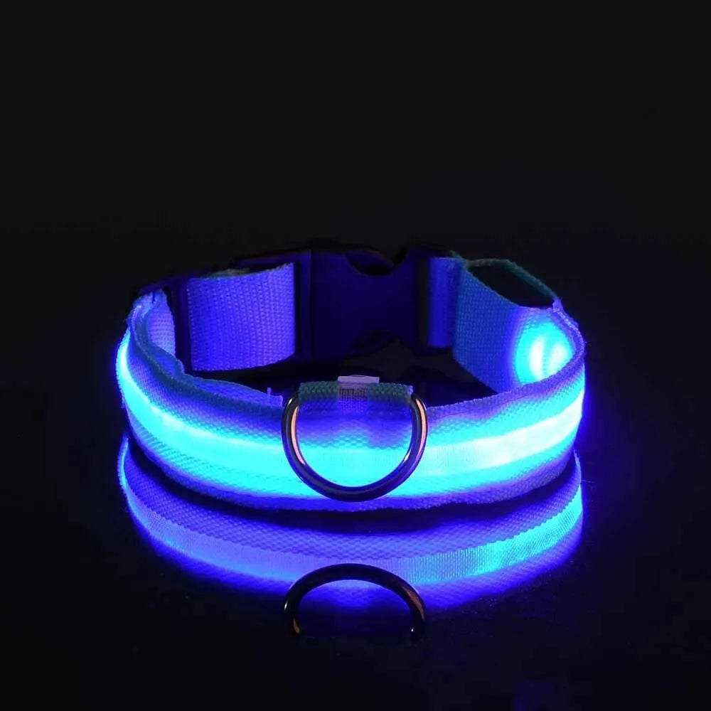 LED Glowing Dog Leash