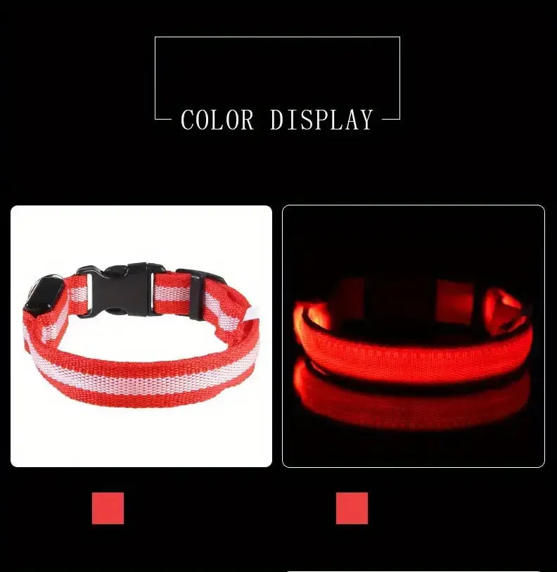 LED Glowing Dog Leash
