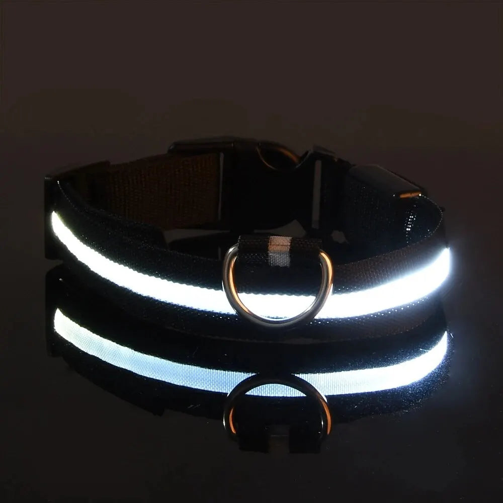 LED Glowing Dog Leash