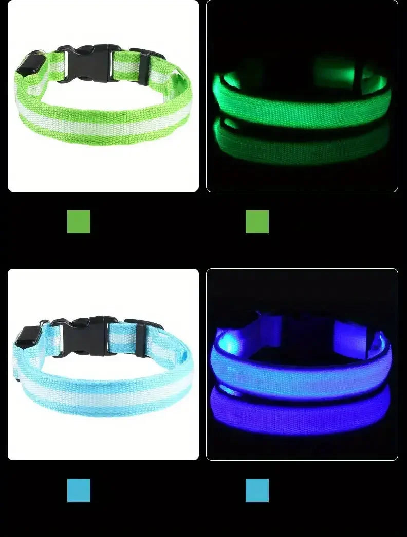 LED Glowing Dog Leash
