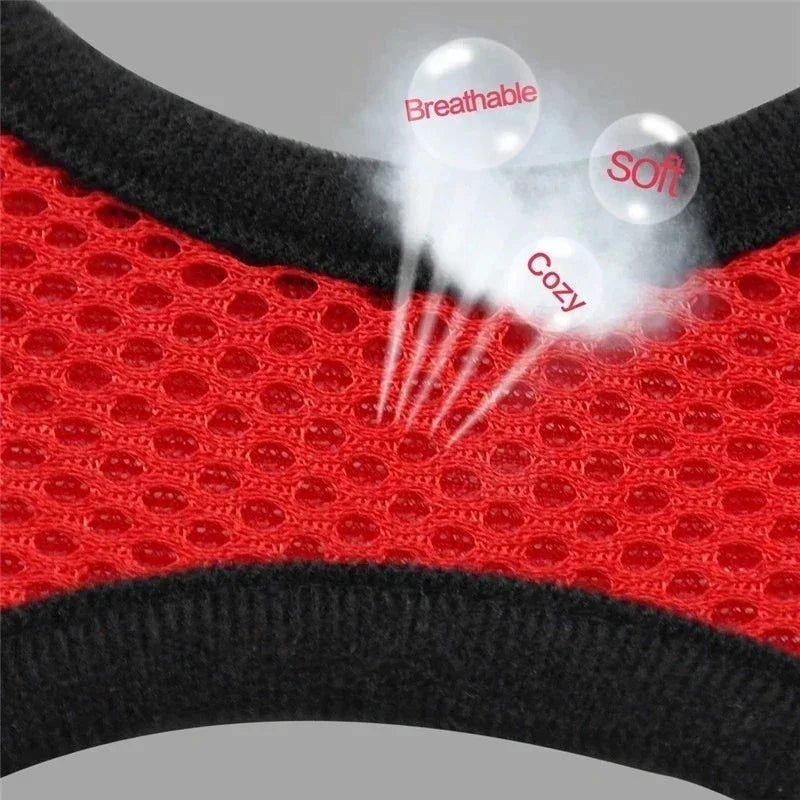Cat Harness & Leash Set