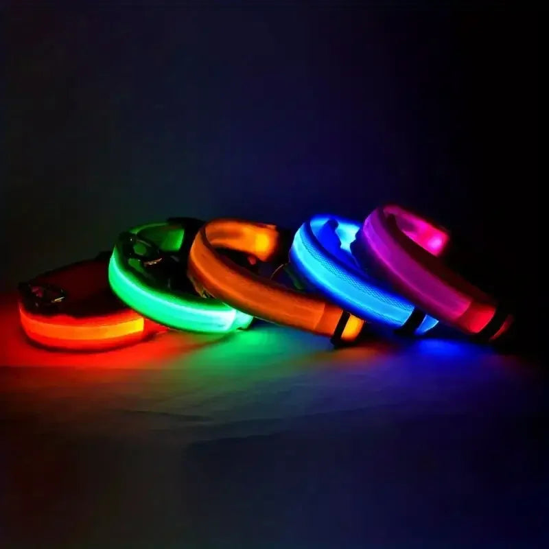 LED Glowing Dog Leash
