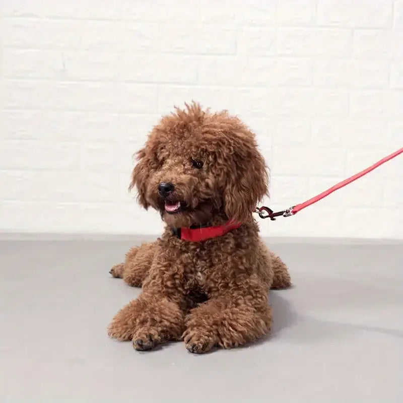 LED Glowing Dog Leash