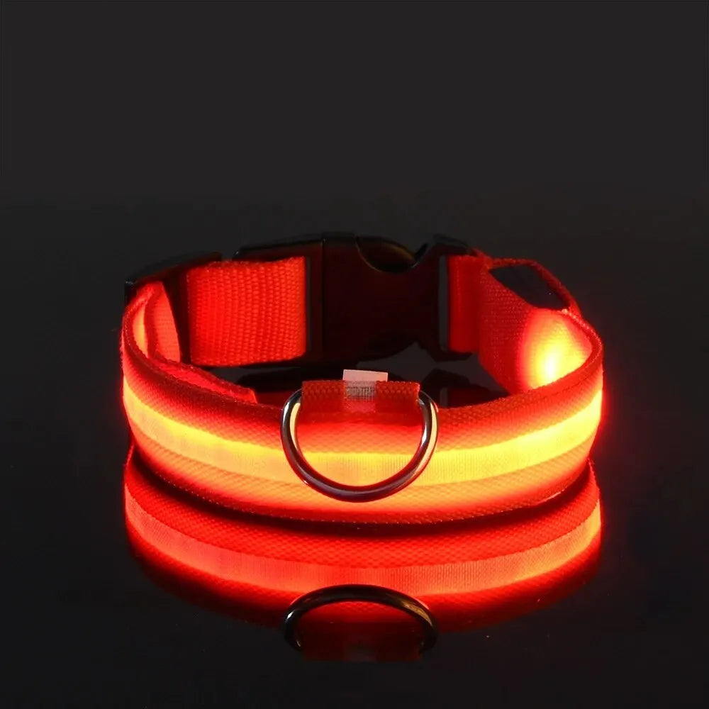 LED Glowing Dog Leash