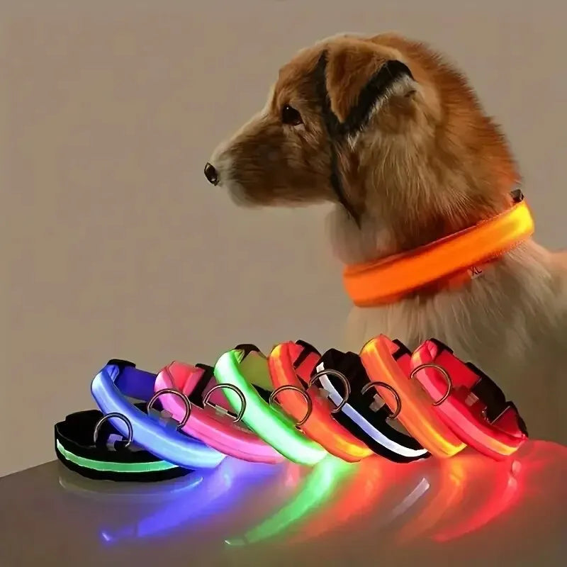 LED Glowing Dog Leash