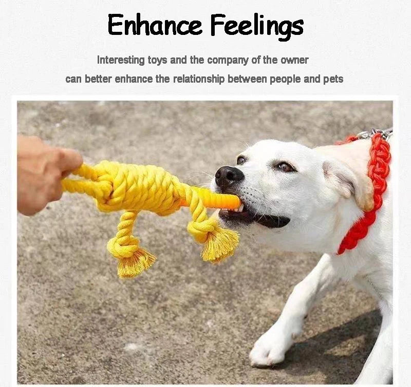 Durable Dog Rope Chew Toy