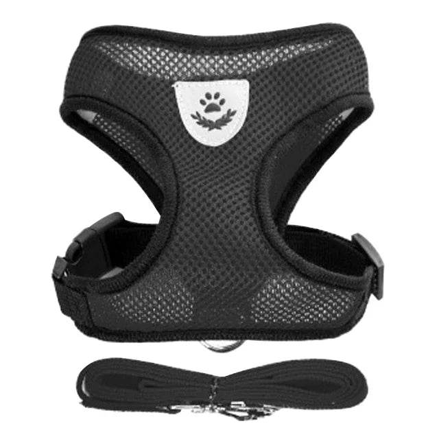 Cat Harness & Leash Set