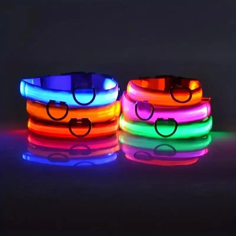 LED Glowing Dog Leash