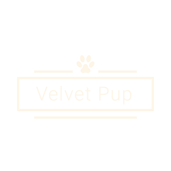 VelvetPup